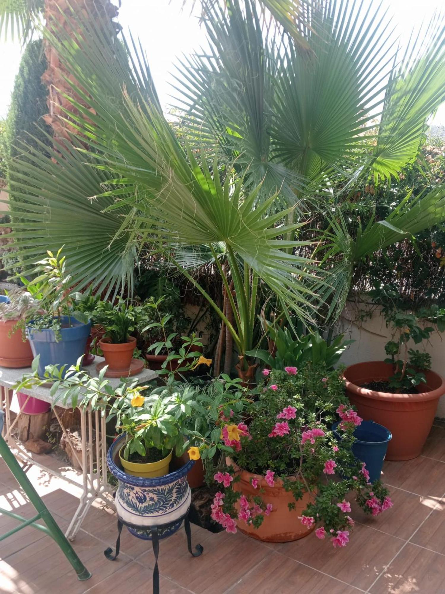 La Cabana Nevada เซเนส เด ลาเบกา ภายนอก รูปภาพ